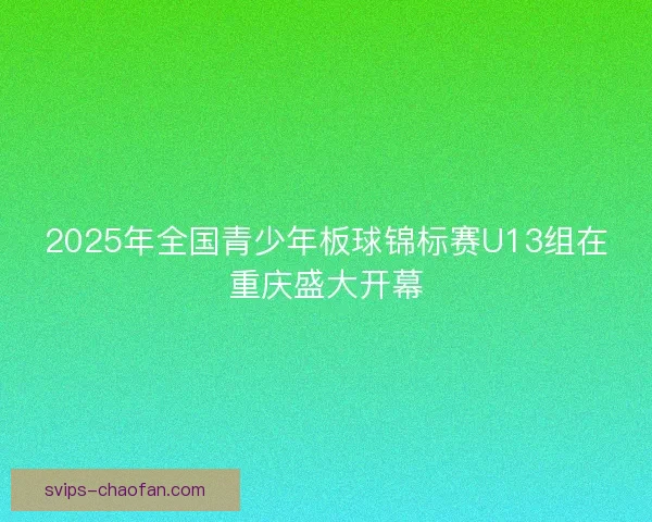 2025年全国青少年板球锦标赛U13组在重庆盛大开幕